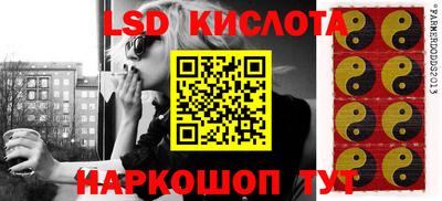 стаф Можга