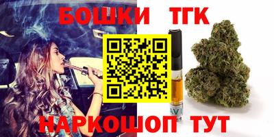 стаф Можга