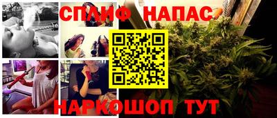трава Можайск