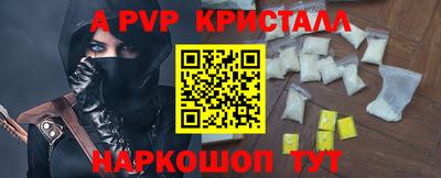стаф Можга