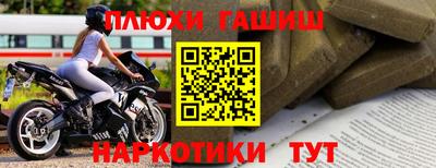 стаф Можга