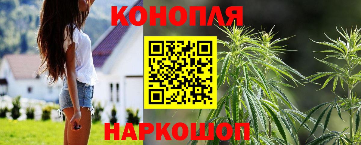 Марихуана Bruce Banner Грязи